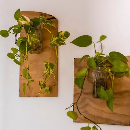 Apartmán Sea Eleven *